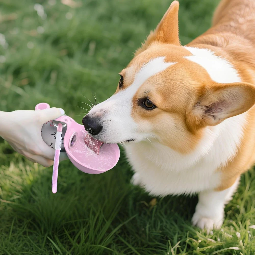 Portable Dog Water Bottle