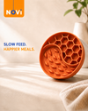 Dog Slow Feeder Bowl